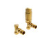 Kartell Traditional Radiator Valve Brass Kartell Traditional Radiator Valve Brass